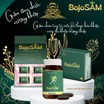 BojoSAM - Bone and joint ginseng (Combo 4 bottle)