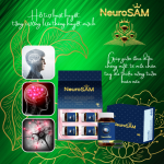 NeuroSAM - Ginseng activates blood and nourishes the brain (Combo 4 bottles)