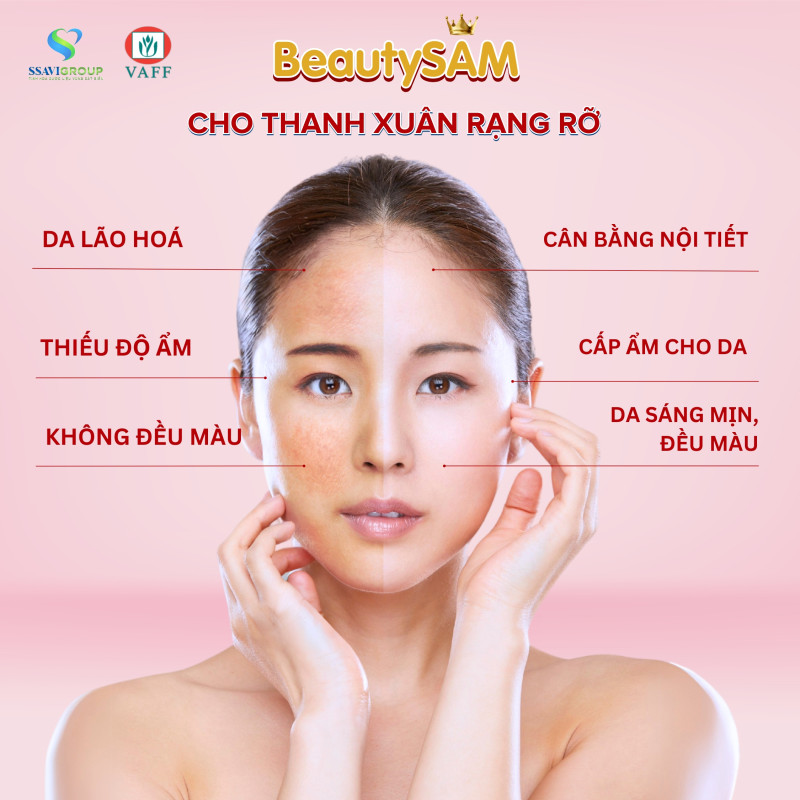 BEAUTYSAM – SÂM ĐẸP DA, TĂNG CƯỜNG NỘI TIẾT TỐ