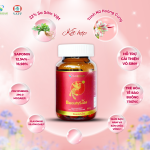 BEAUTYSAM – SÂM ĐẸP DA, TĂNG CƯỜNG NỘI TIẾT TỐ