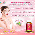 BEAUTYSAM – SÂM ĐẸP DA, TĂNG CƯỜNG NỘI TIẾT TỐ