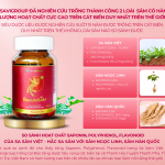 BEAUTYSAM – SÂM ĐẸP DA, TĂNG CƯỜNG NỘI TIẾT TỐ