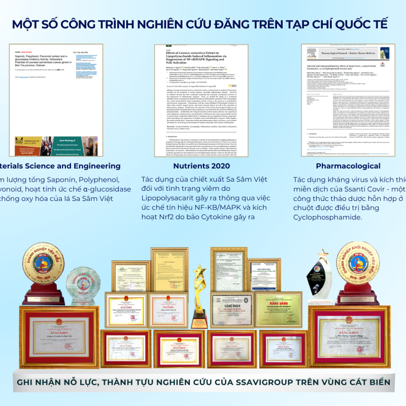 BOJOSAM - SÂM XƯƠNG KHỚP