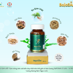 Cháo Sâm Savigin (Vietnam Ocean Ginseng) – Diêm mạch & Hạt sen (Ocean Ginseng Porridge – Quinoa & Lotus Seed | Spring Recipe)