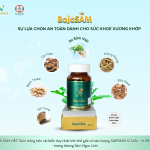 BOJOSAM - SÂM XƯƠNG KHỚP