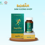 BOJOSAM - SÂM XƯƠNG KHỚP