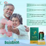 BOJOSAM - SÂM XƯƠNG KHỚP