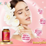 BEAUTYSAM – Sâm đẹp da, tăng cường nội tiết tố - Tập Đoàn Ssavigroup