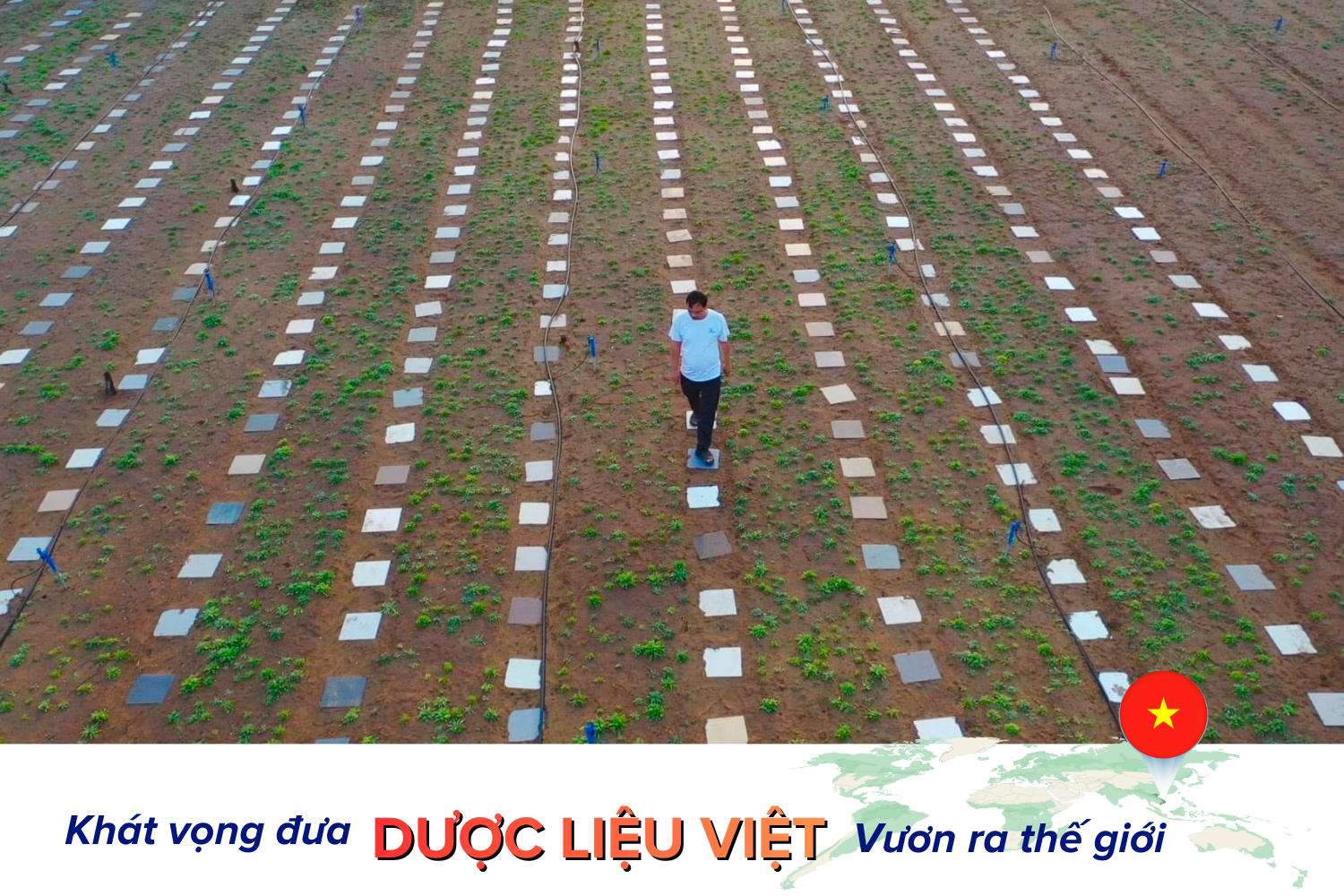 duoc-lieu-vung-cat-bien-2-3.png