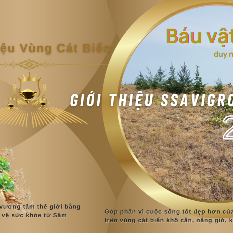 GIỚI THIỆU SSAVIGROUP