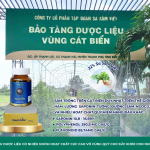 NEUROSAM – SÂM HOẠT HUYẾT DƯỠNG NÃO