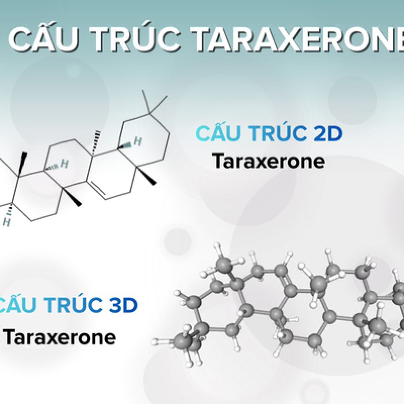 SÂM SAVIGIN (VIETNAM OCEAN GINSENG) - THÀNH TỰU 16 NĂM NGHIÊN CỨU