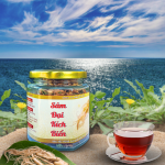 TRÀ SÂM - SÂM ĐẠI KÍCH BIỂN