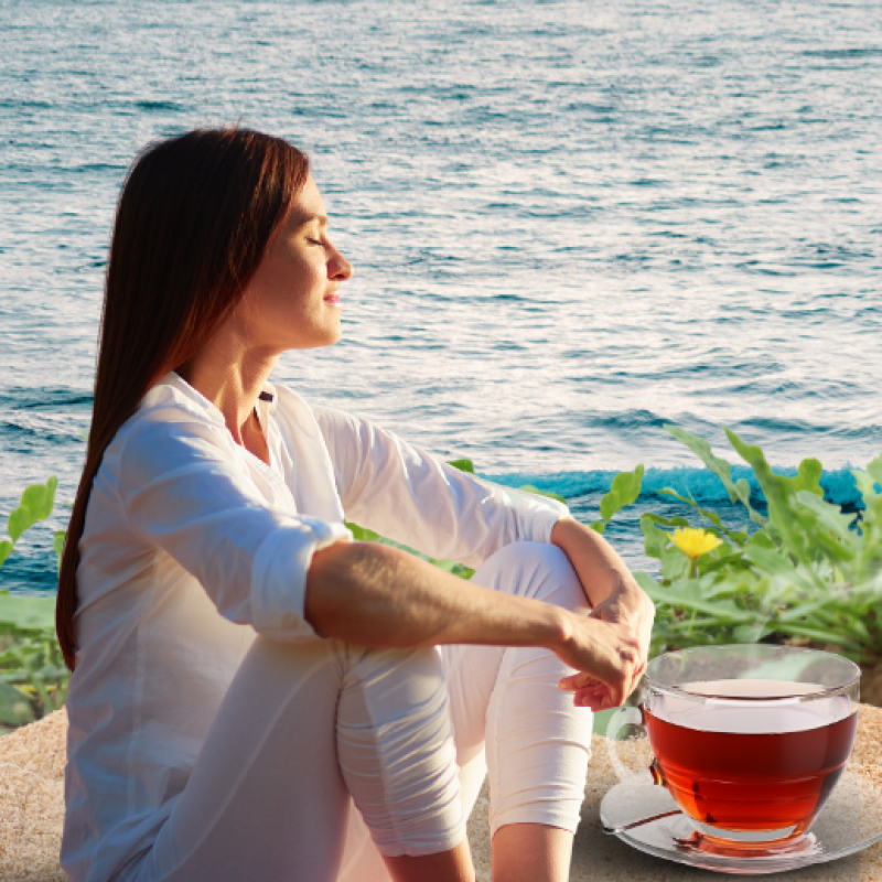 TRÀ SÂM - SÂM ĐẠI KÍCH BIỂN